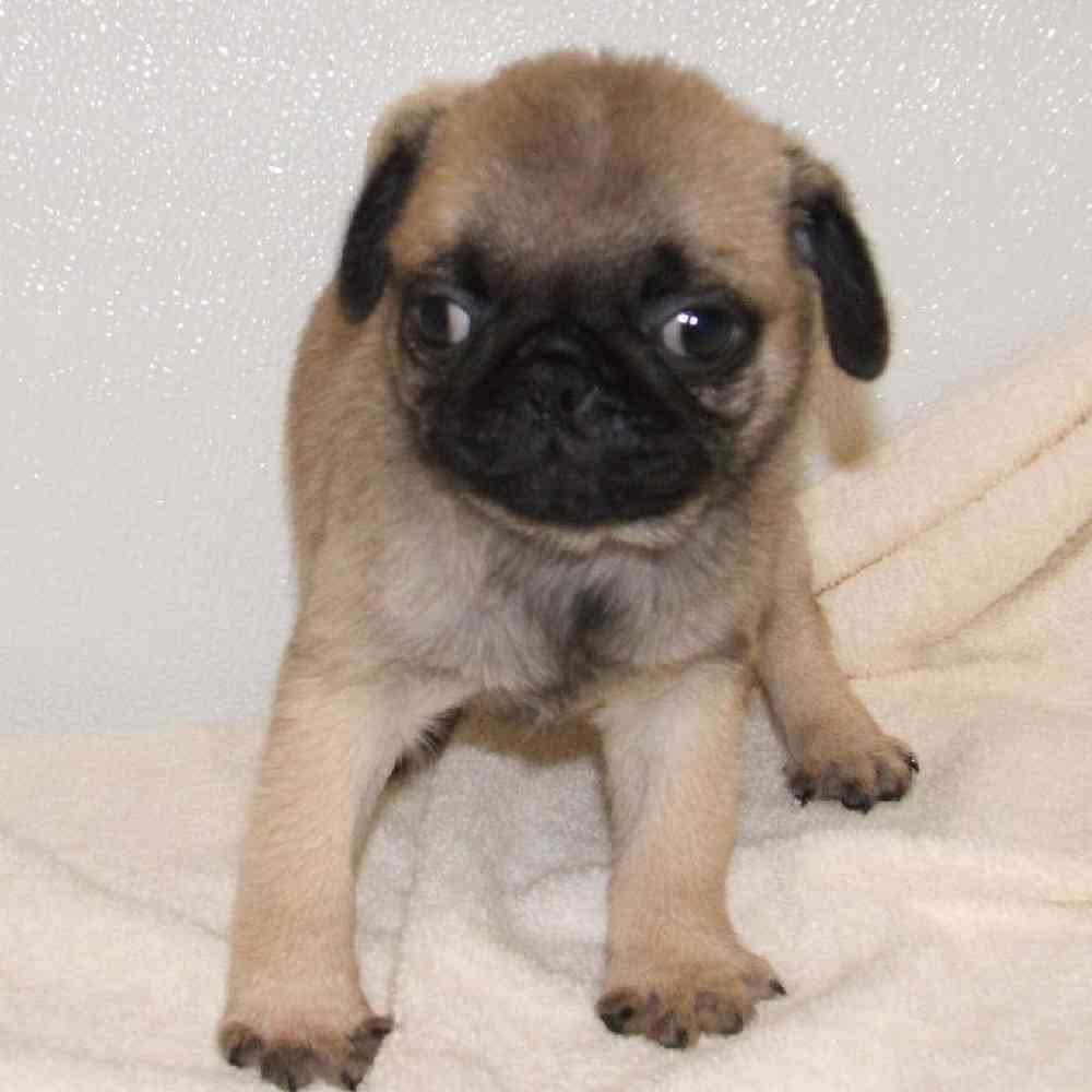 None